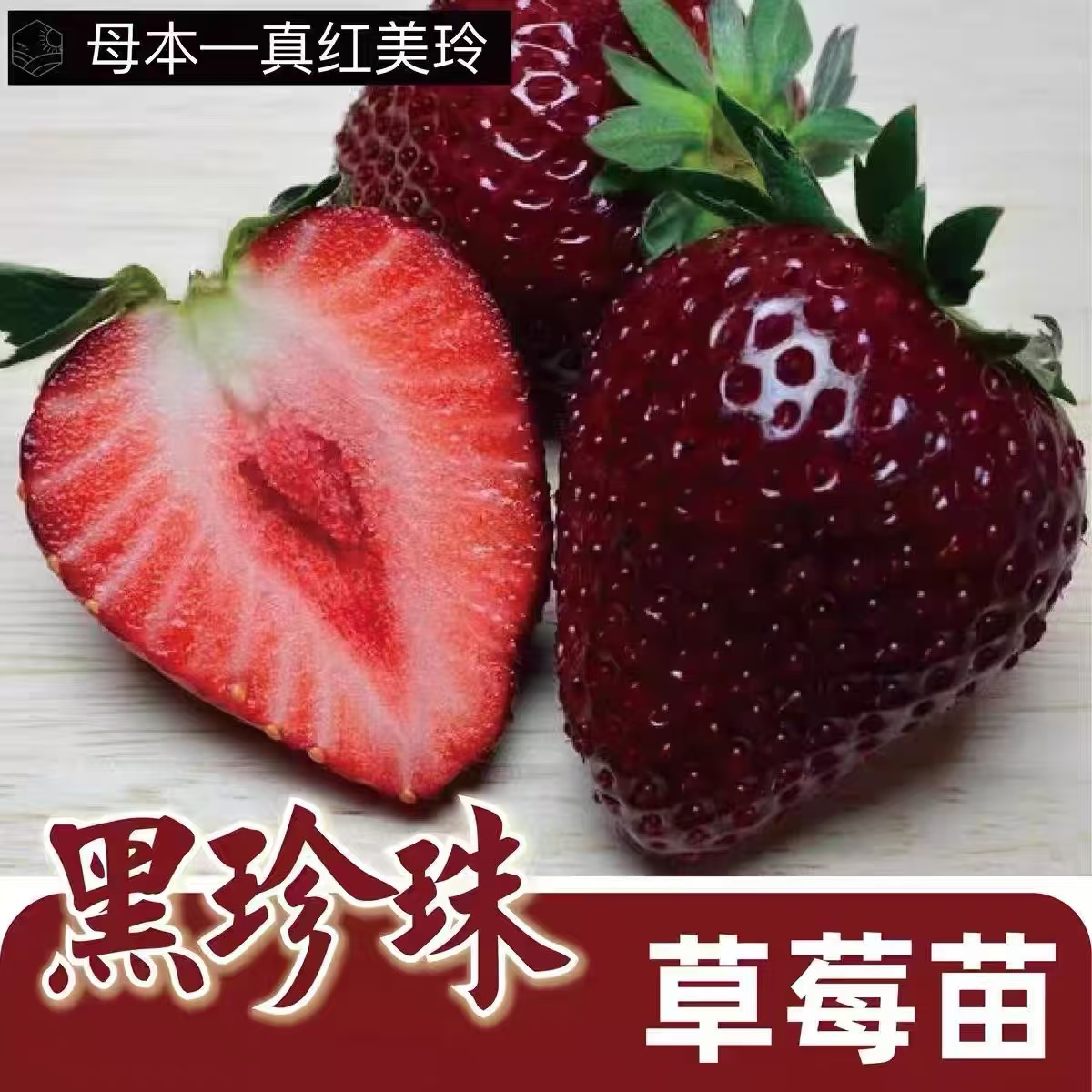 拍三发四【黑珍珠草莓盆栽】即将开花结果草莓可食用四季阳台苗盆栽