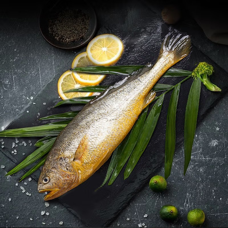 新鲜大黄鱼 大黄花鱼 蒜瓣肉 1.5斤/条 发3条 净重4.5斤