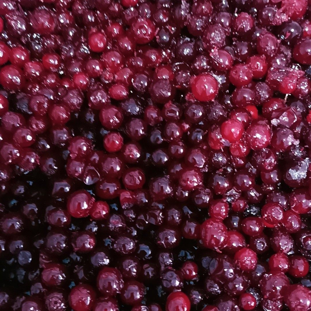 大兴安岭野生蔓越莓速冻果（雅格达，红豆）（浆果温度高到货会出汁）