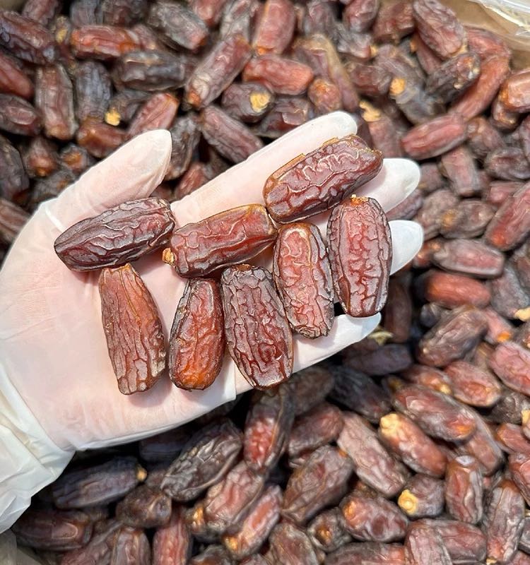 黑椰枣正宗新疆特产大颗粒椰枣新货新鲜无添加即食果干零食