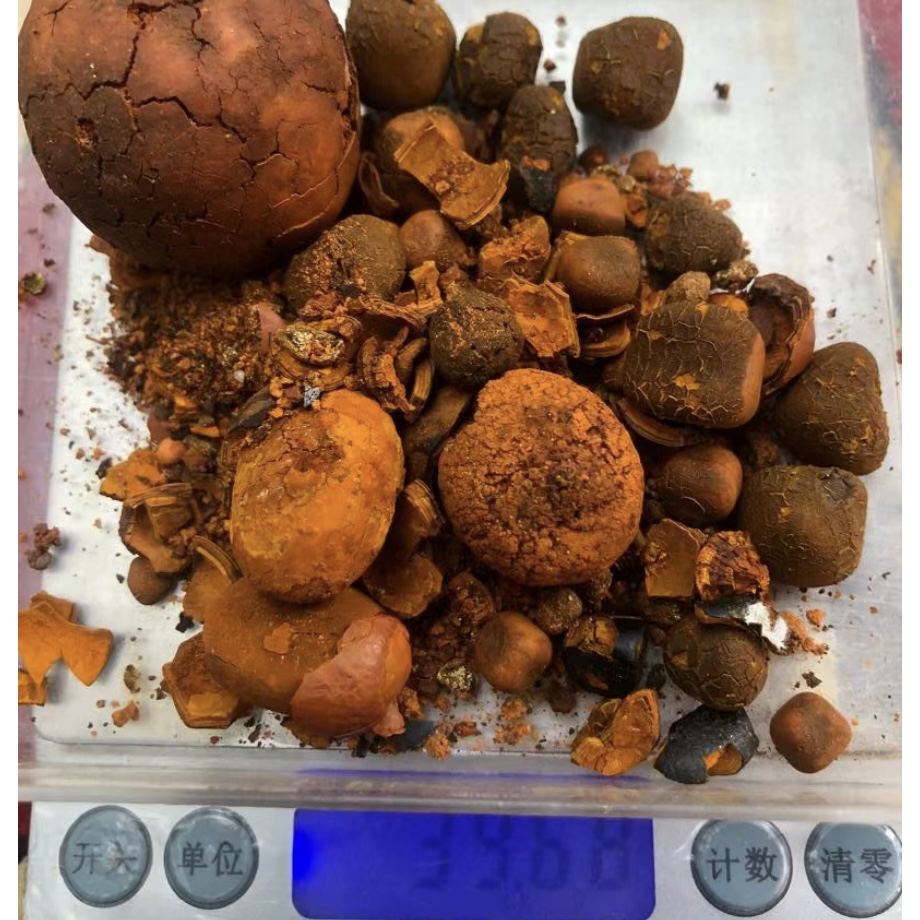 现收山货～整颗现称临时链接非香菇