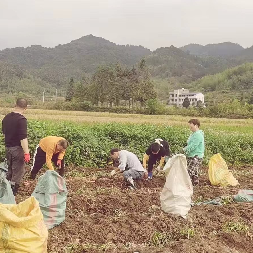 风草开心小铺农村农产品代购新鲜看得见现采现发