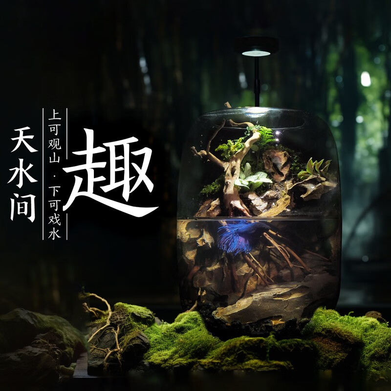 丘辰高端礼物峡谷青苔藓免打理植物微景观鱼生态瓶造景桌面鱼缸