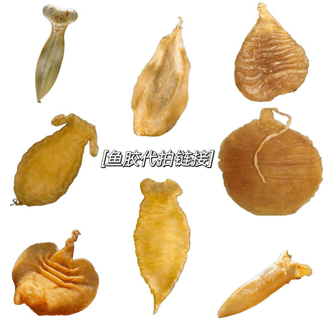 多种鱼胶 花胶 鱼肚 南澳 1-500g