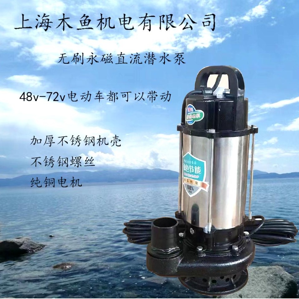 电动车水泵2.5寸口不锈钢款智能无刷直流潜水泵48v－72v通用款