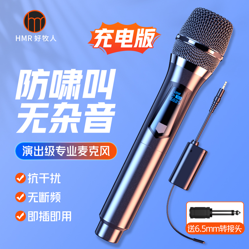 无线话筒一拖二麦克风全民家用k歌唱歌ktv接收器音响专业户外通用