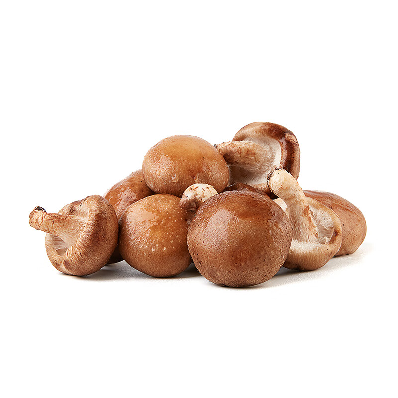 香菇约300g