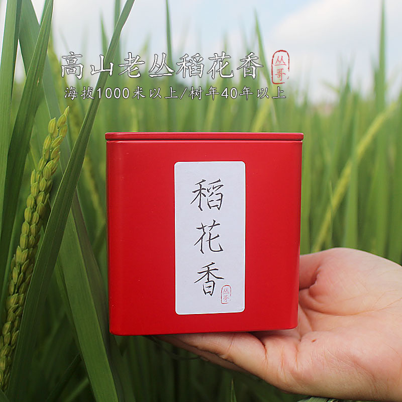 丛哥[稻花香]2023年高山老丛凤凰单丛茶春季罐装