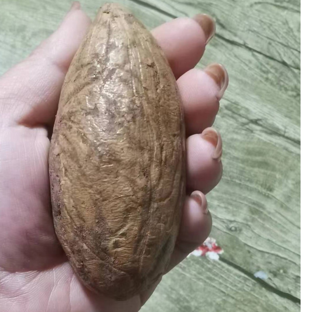 精选巨无霸老果王饰品