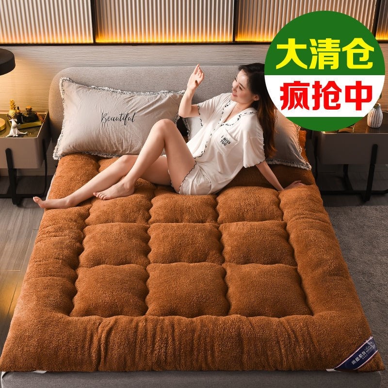 床垫软垫褥子家用冬季羊羔绒加厚租房专用学生宿舍单人海绵垫双面