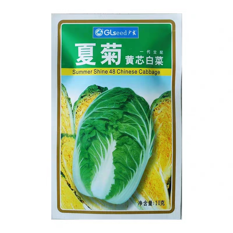 【2袋包邮】夏菊  黄芯耐热白菜 抗病 好吃 高产