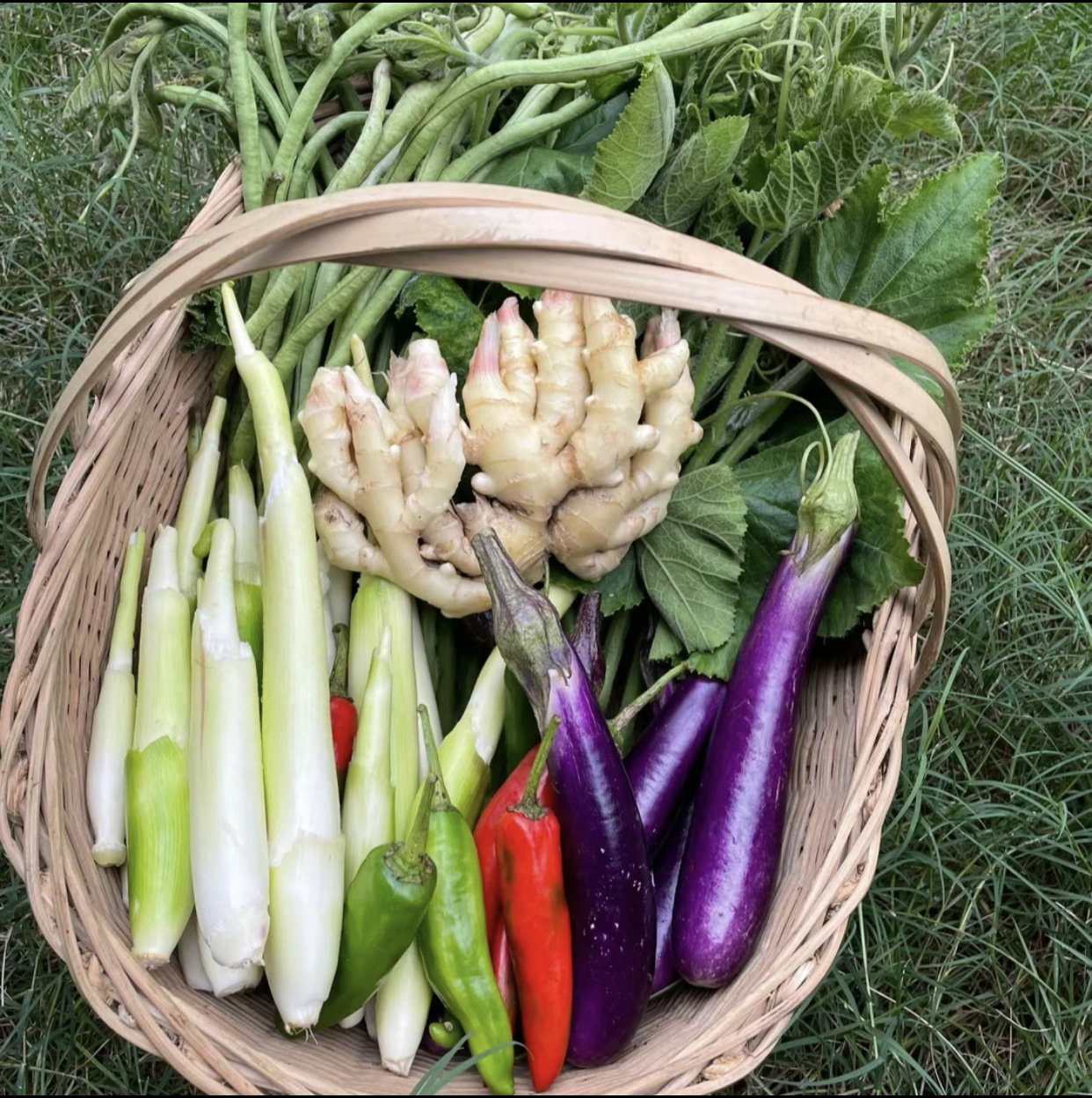 现收现卖农家货现场称重（无退货服务）