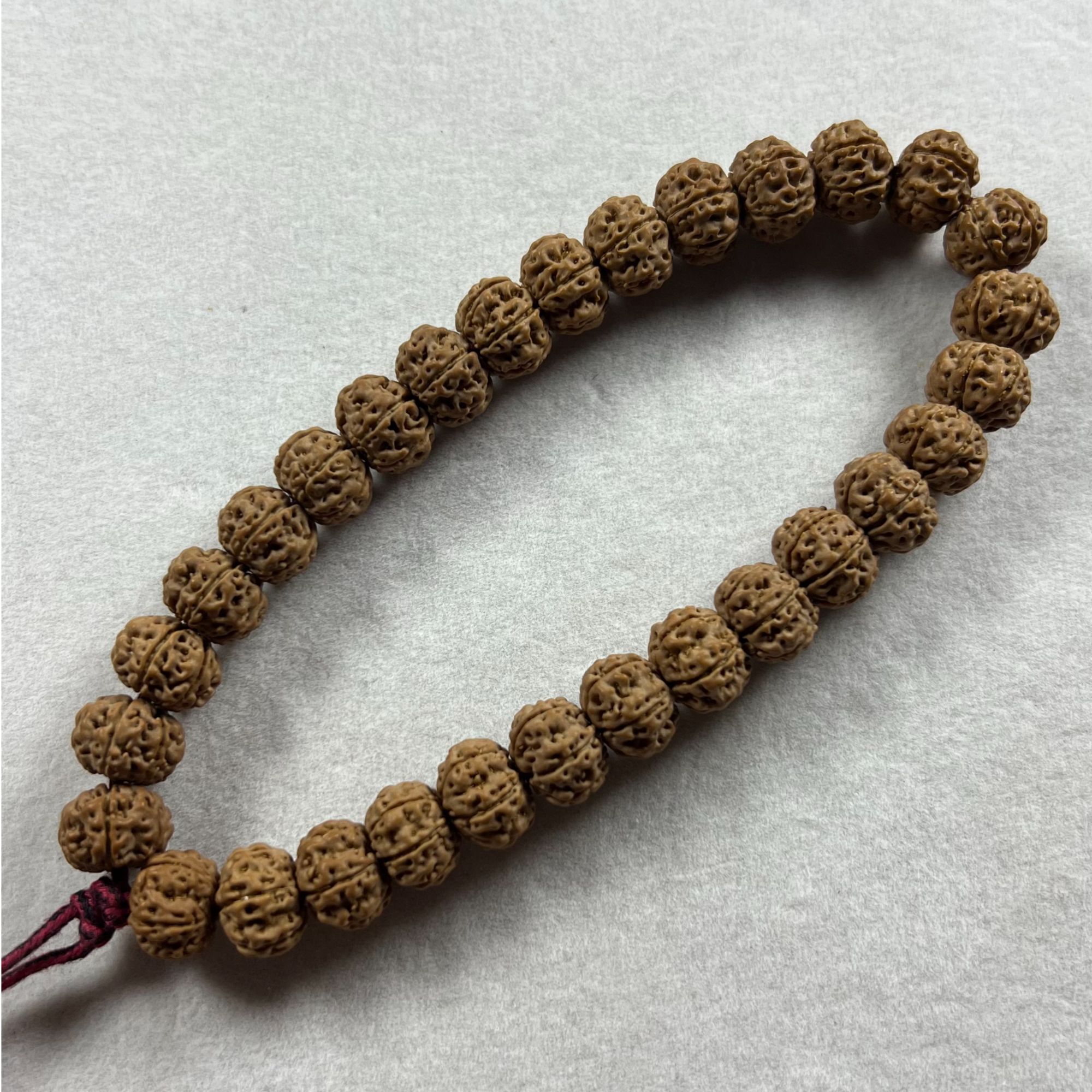 孤执系列！金刚甄选!招牌款凹底梅花单圈