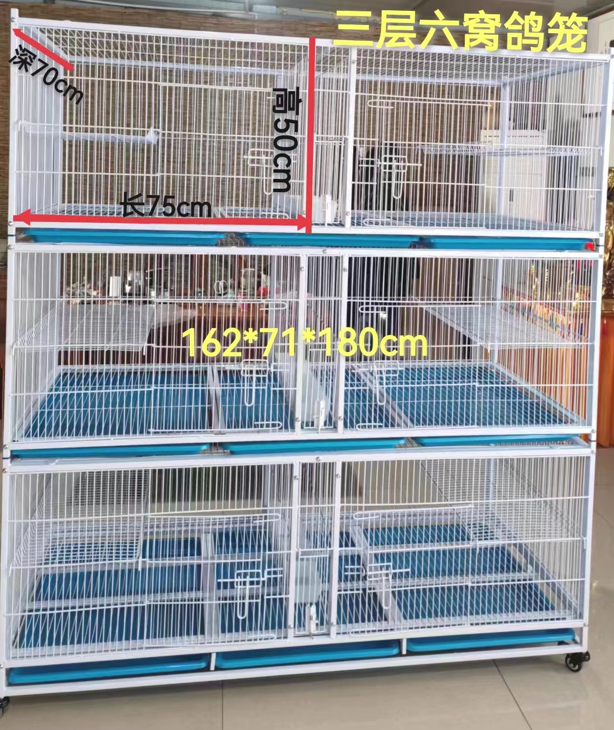 162×71×180鸽子配对笼大型信鸽养殖室槽加设计隔断笼子运输安装