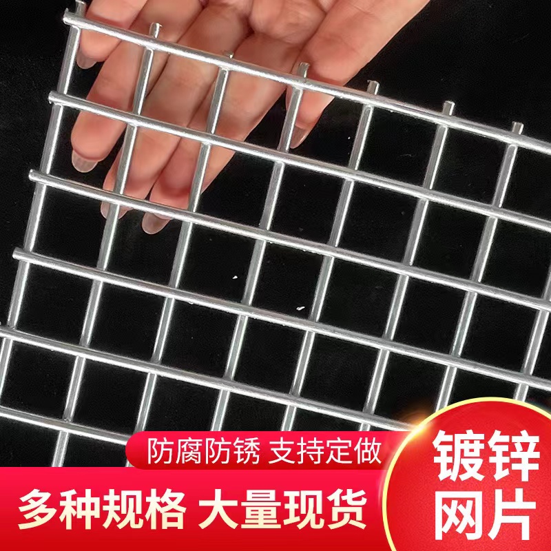 小方孔1.5镀锌网片铁丝网片加密孔不生锈钢丝鸟笼鸽笼兔笼围栏网