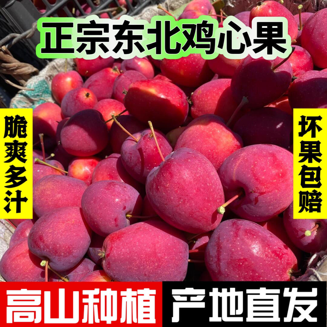 东北特产鸡心果锦绣海棠小苹果沙果新鲜孕妇水果脆甜多汁整箱