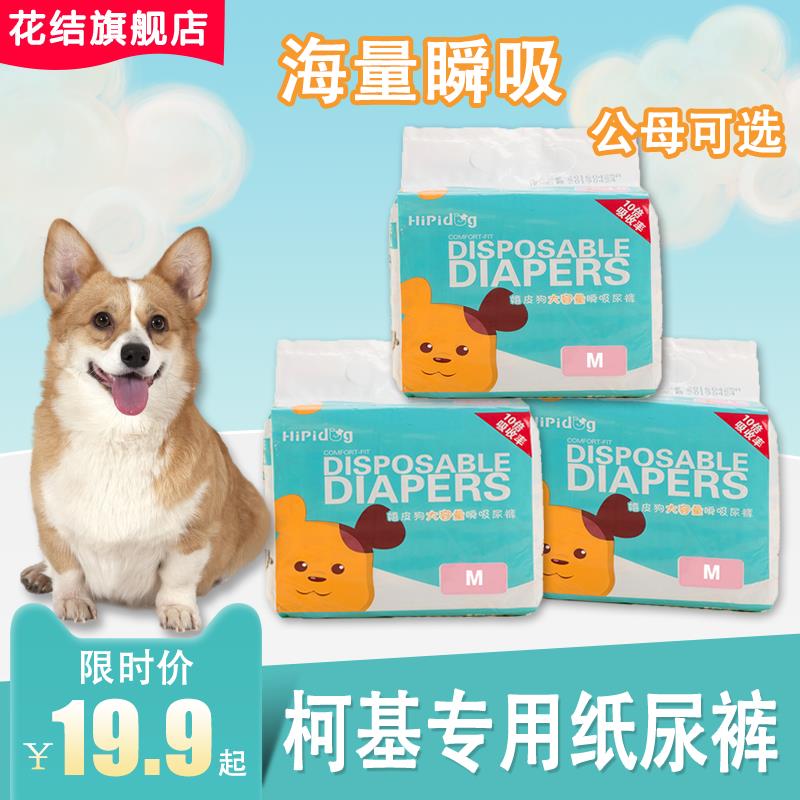 柯基专用狗狗生理裤女狗尿不湿宠物外出用品公狗纸尿裤小型犬尿片