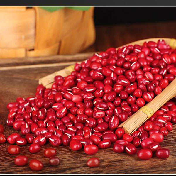 孙系农品朝阳红小豆5斤袋装