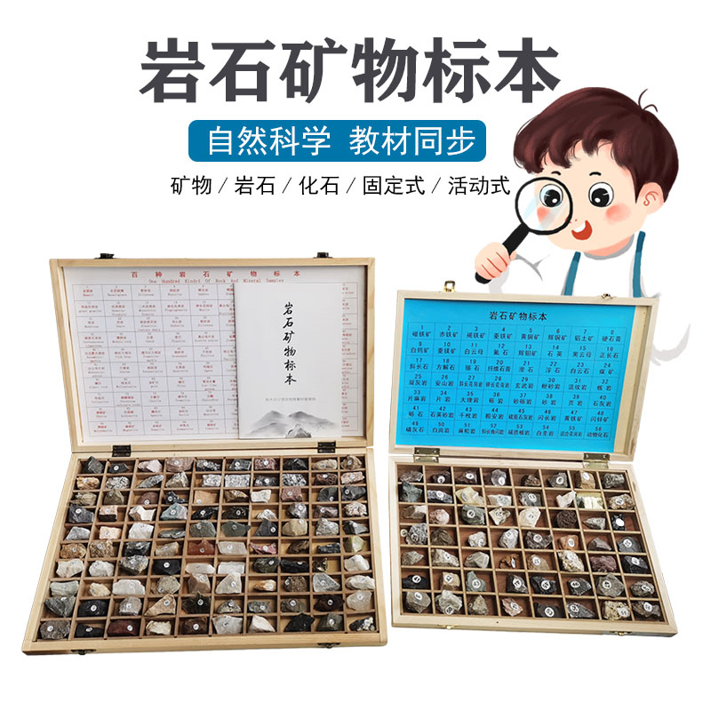 岩石矿物标本四年级科学下册实验器材套装 石头天然材料采集小学