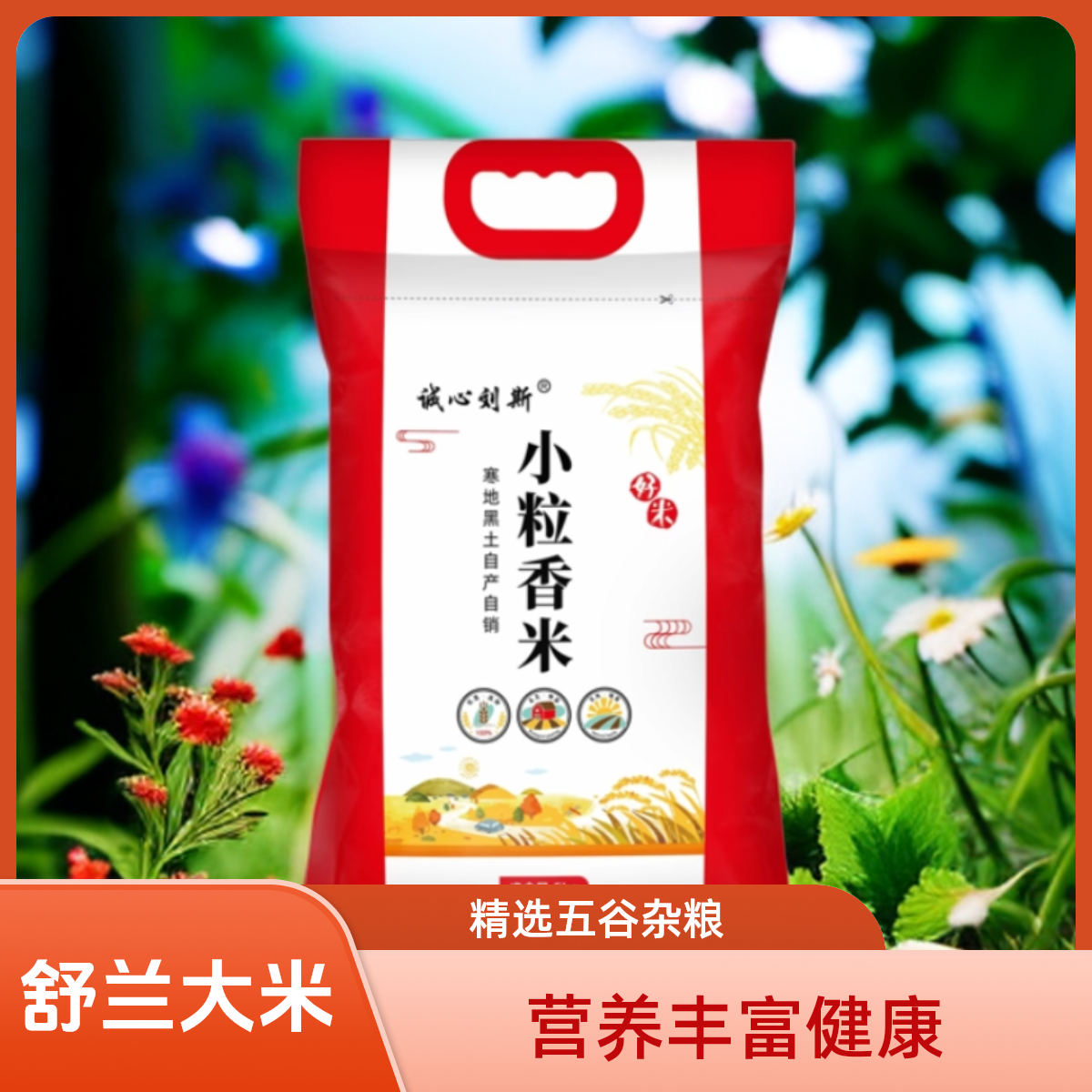 2025年新米舒兰大米天然小粒香大米5公斤编织袋包装