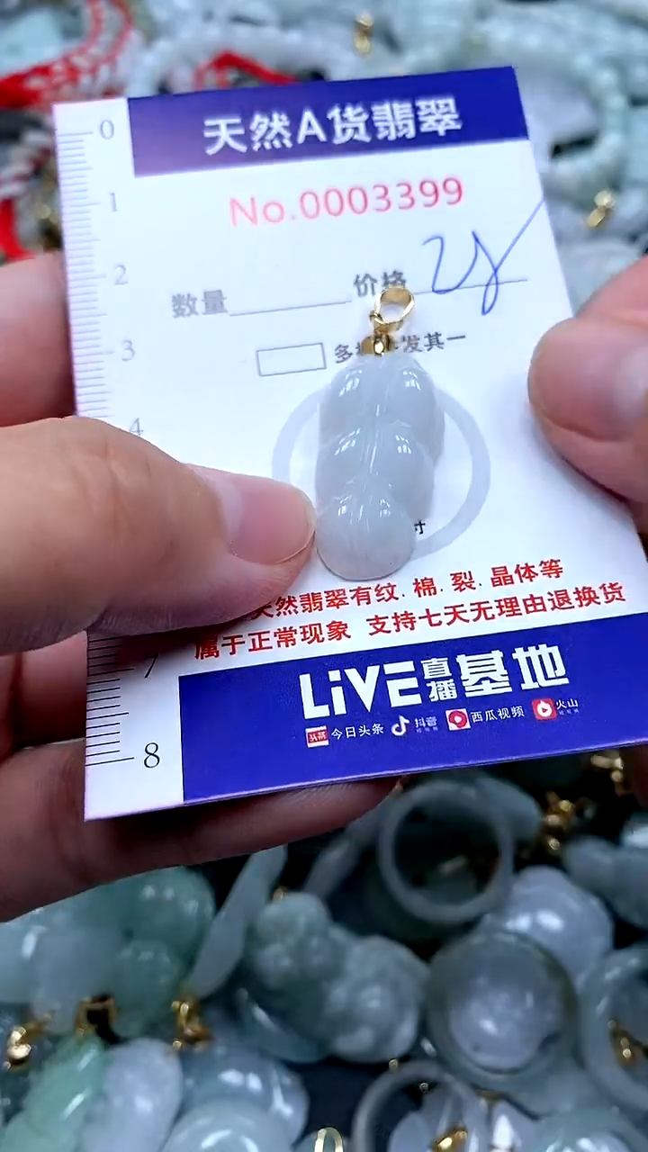 【闪购商品】翡翠颈饰未镶嵌翡翠