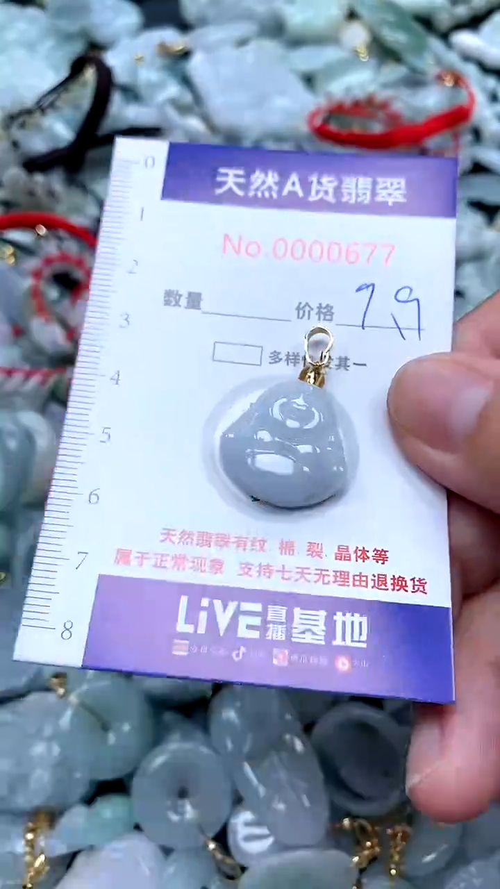 【闪购商品】翡翠颈饰未镶嵌翡翠