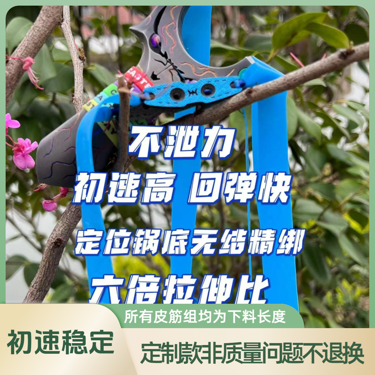 小钱精绑蓝色皮筋组