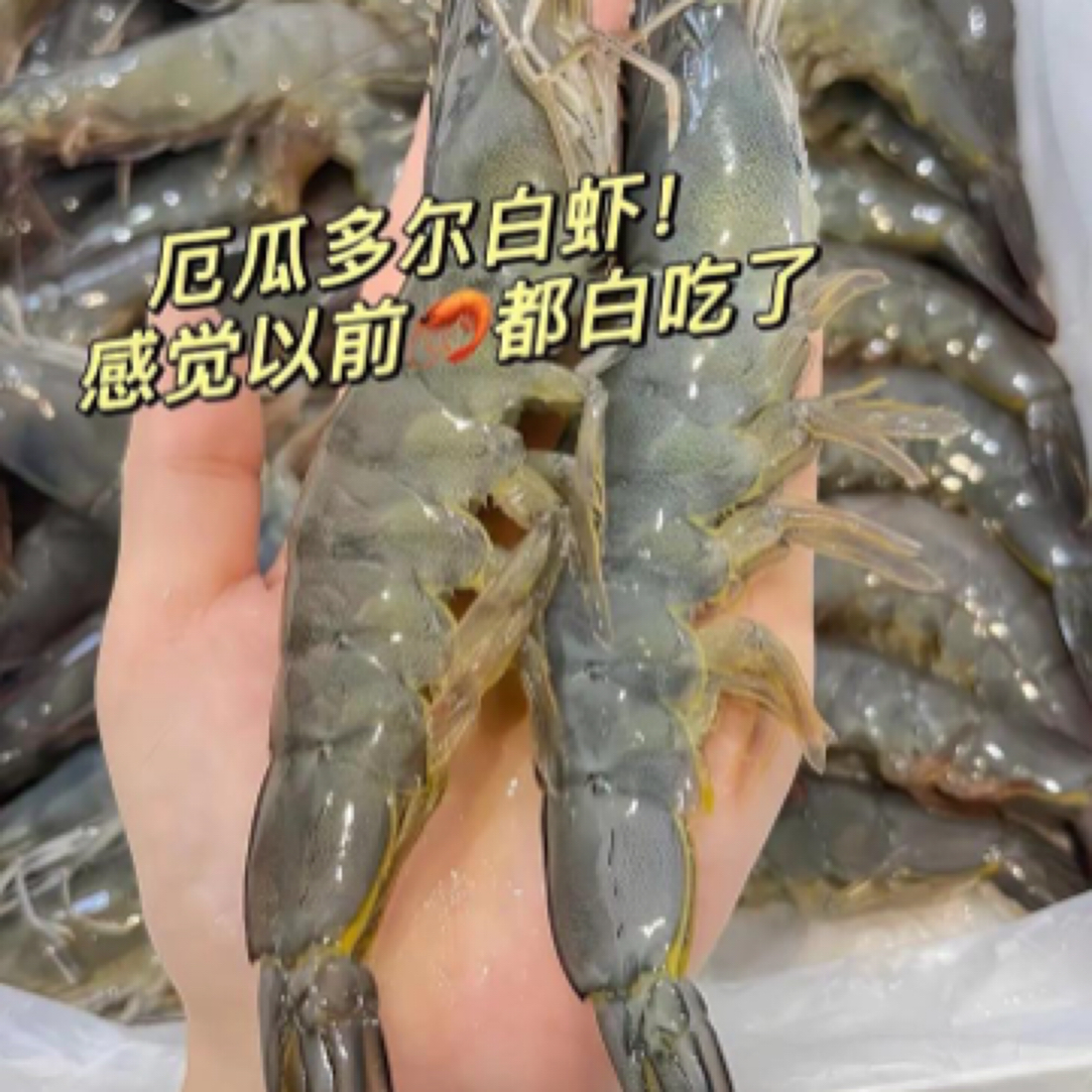 海捕大虾20-30规格（净重3.3斤）