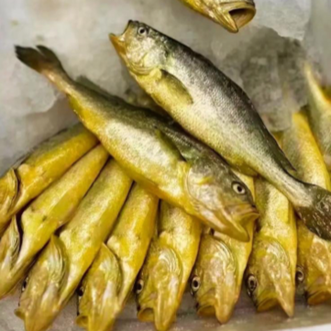 小黄鱼速冻发货一斤装发3斤