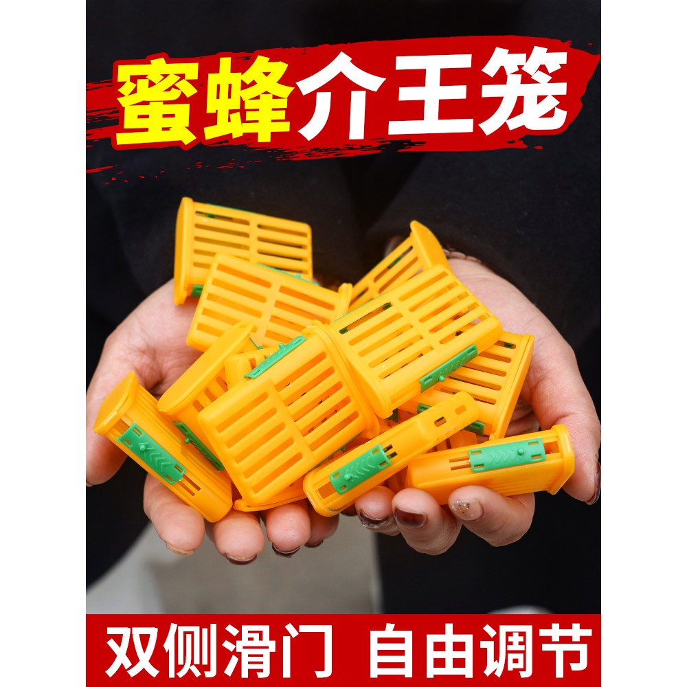 多功能囚王笼塑料防逃工具中意蜂专用介王笼装蜂王储王器隔王工具