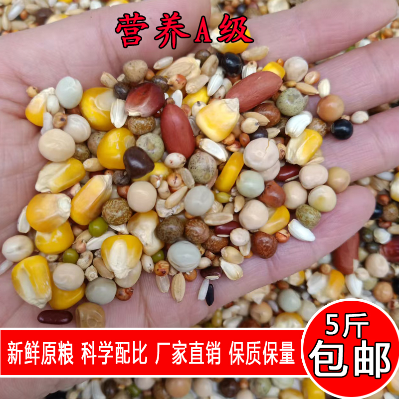 金冠鸽粮营养A级5斤装鸟粮种鸽信鸽赛鸽幼鸽观赏鸽