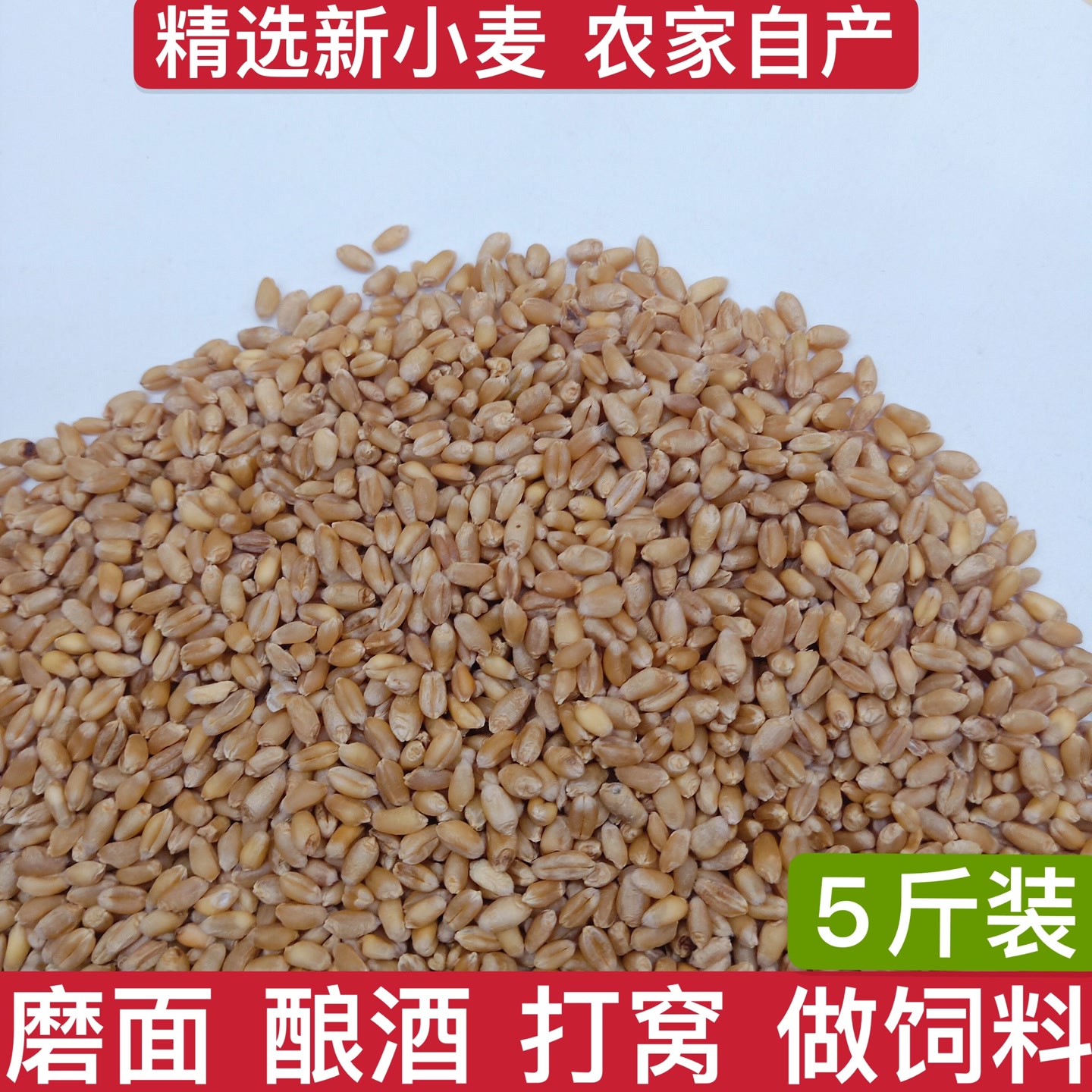 农家自产优质小麦粒磨面做麦酱发麦苗小麦草种子鸽粮鸽子饲料5斤