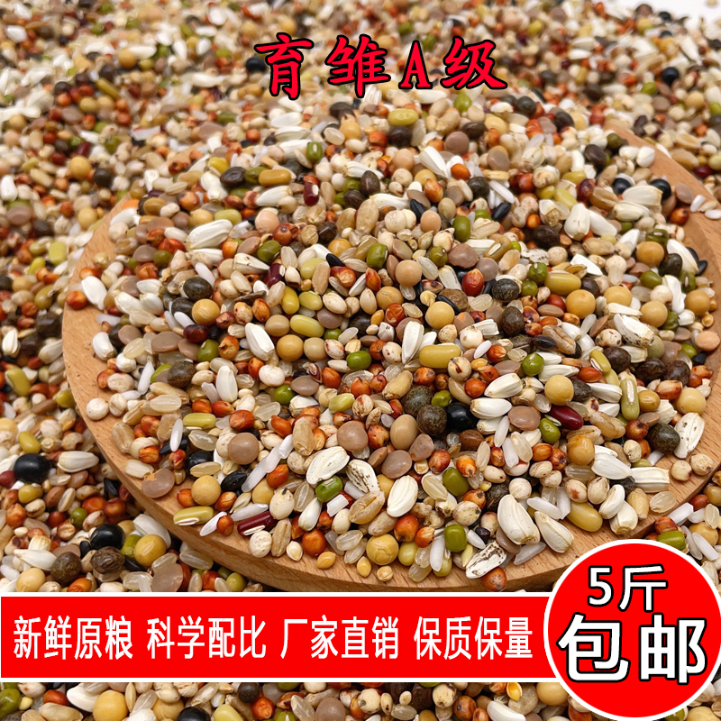 金冠育雏A级鸽粮小颗粒5斤装育雏喷窝赛鸽归巢幼鸽鹦鹉