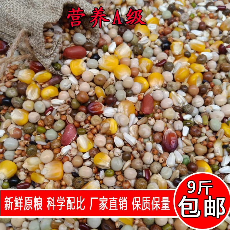 金冠精品营养A级9斤装鸽子粮饲料鸟食信鸽赛鸽新鲜正宗鸽粮包邮