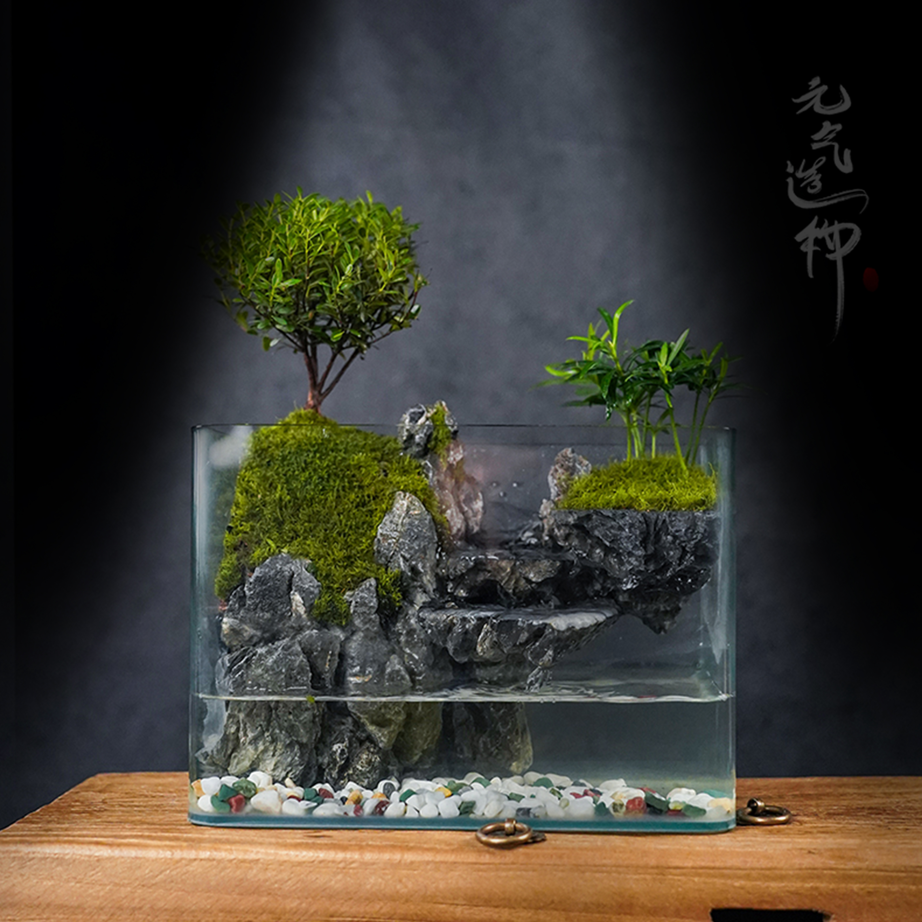 新品】平川—内置循环流水小叶赤楠绿植造景成品真植物25*16*18_鲜花园艺