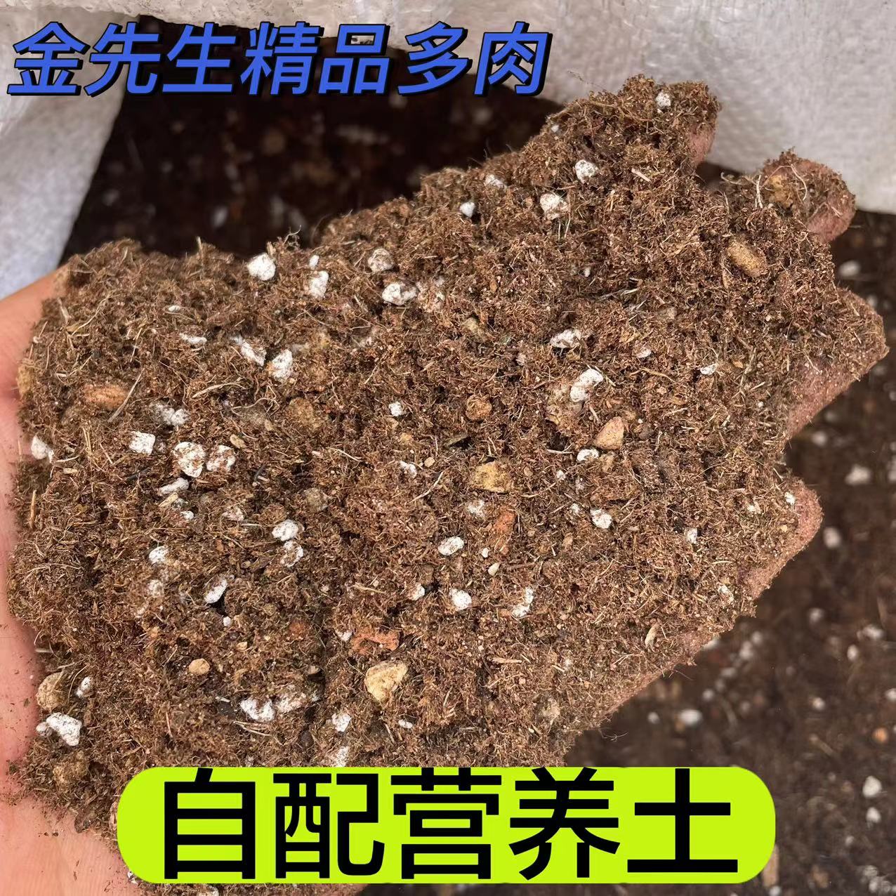 配置营养土（50%颗粒）金先生精品多肉9.6斤适用于多肉植物