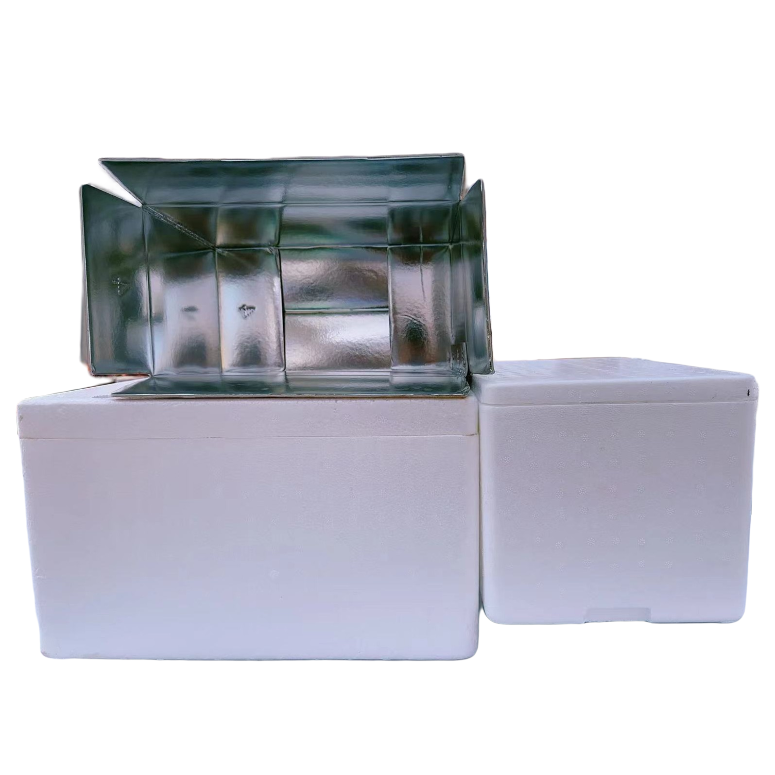 金先生精品多肉植物保温箱零下地区必拍