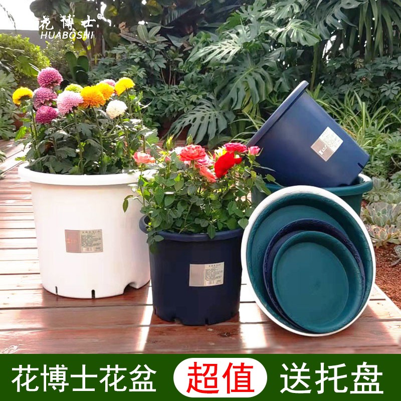 花博士素颜深型月季铁线莲花盆树脂花盆口绿萝绣球月季塑料花盆
