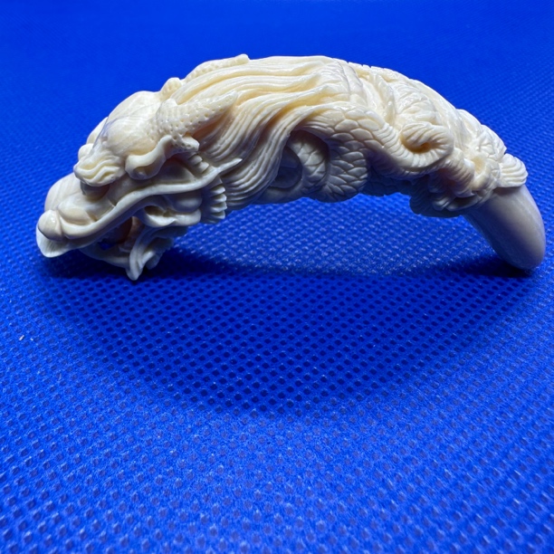 SX0312天然猛犸牙 龙牙尖