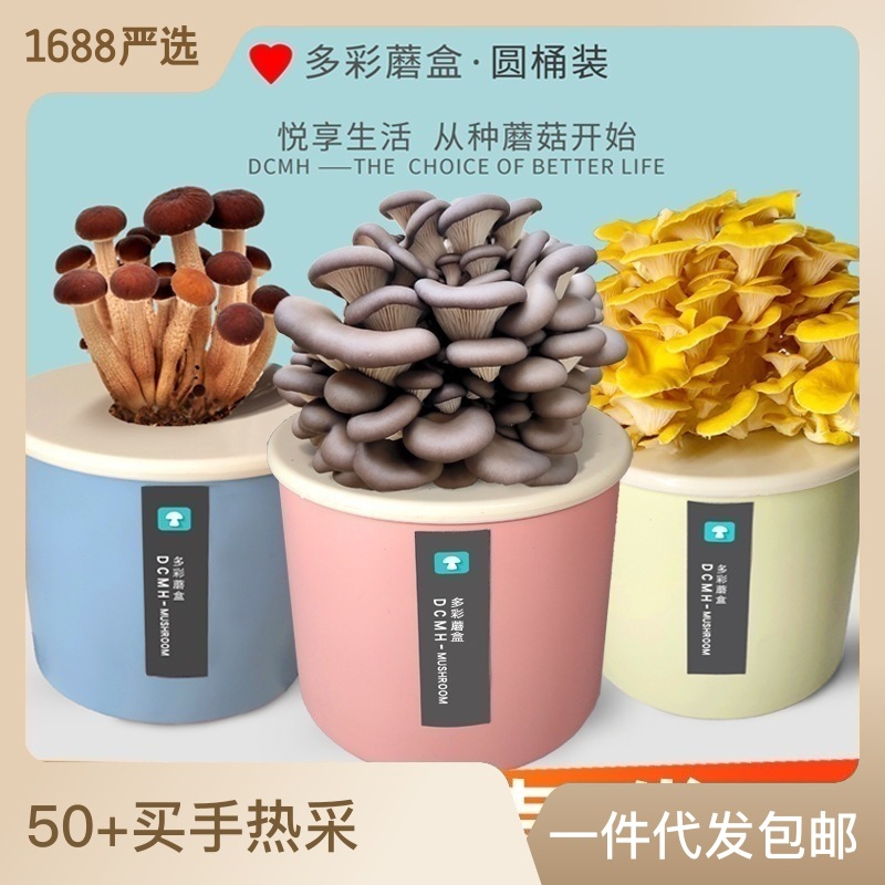 蘑菇种植桶蘑菇菌种植菌包菌棒家庭儿童礼物金针菇灵芝室内种植桶