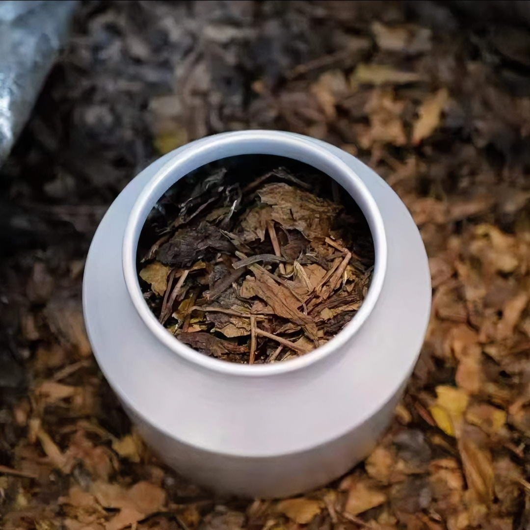 银龙2013年老寿眉150g罐装福建福鼎白茶茶叶送人送礼高端滋味丰富