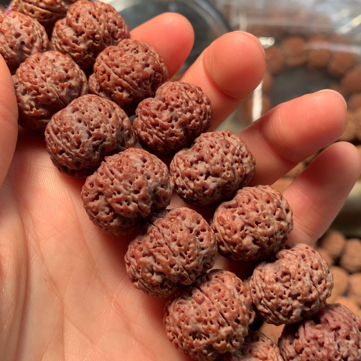 【闪购商品】金刚菩提手串