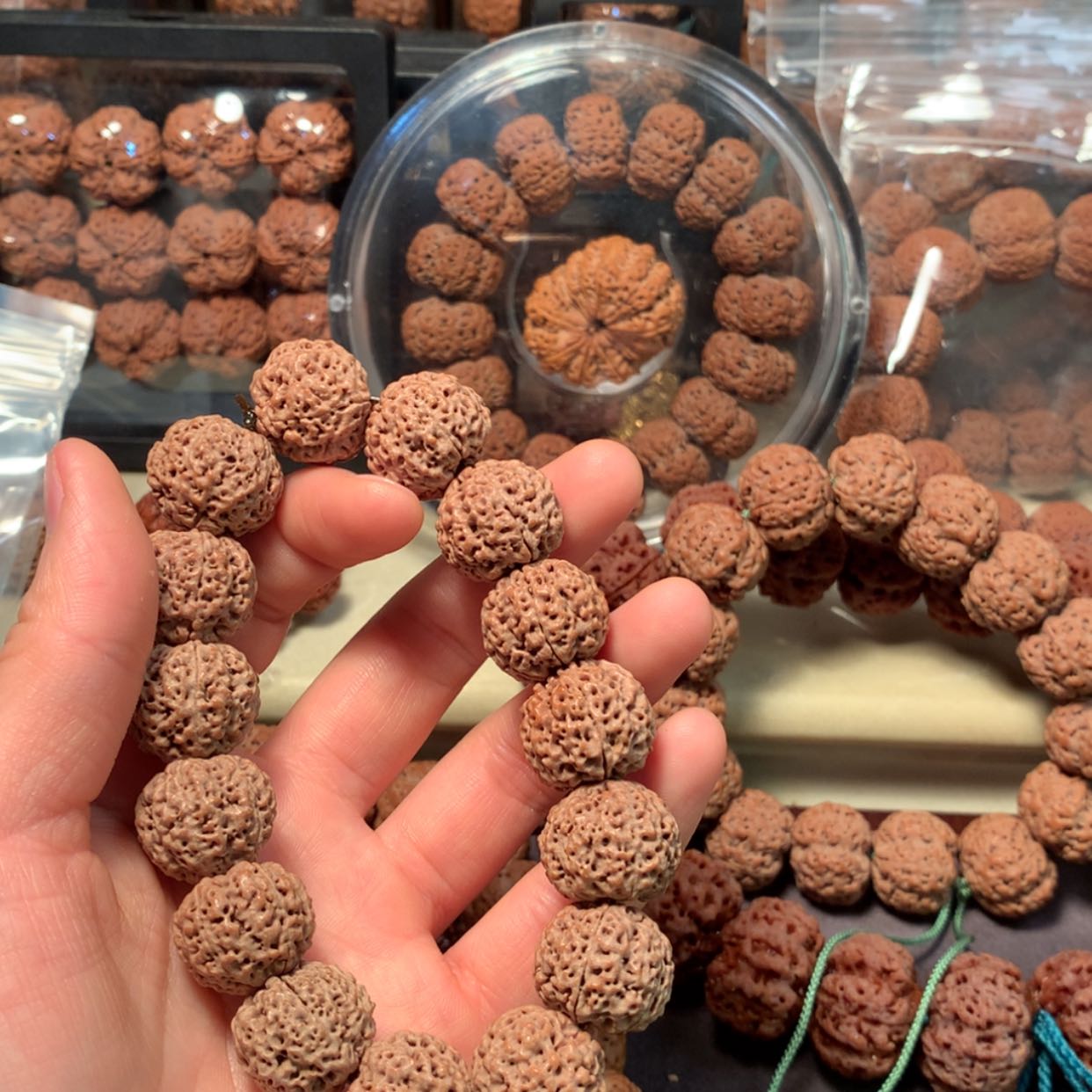 【闪购商品】金刚菩提手串梁*
