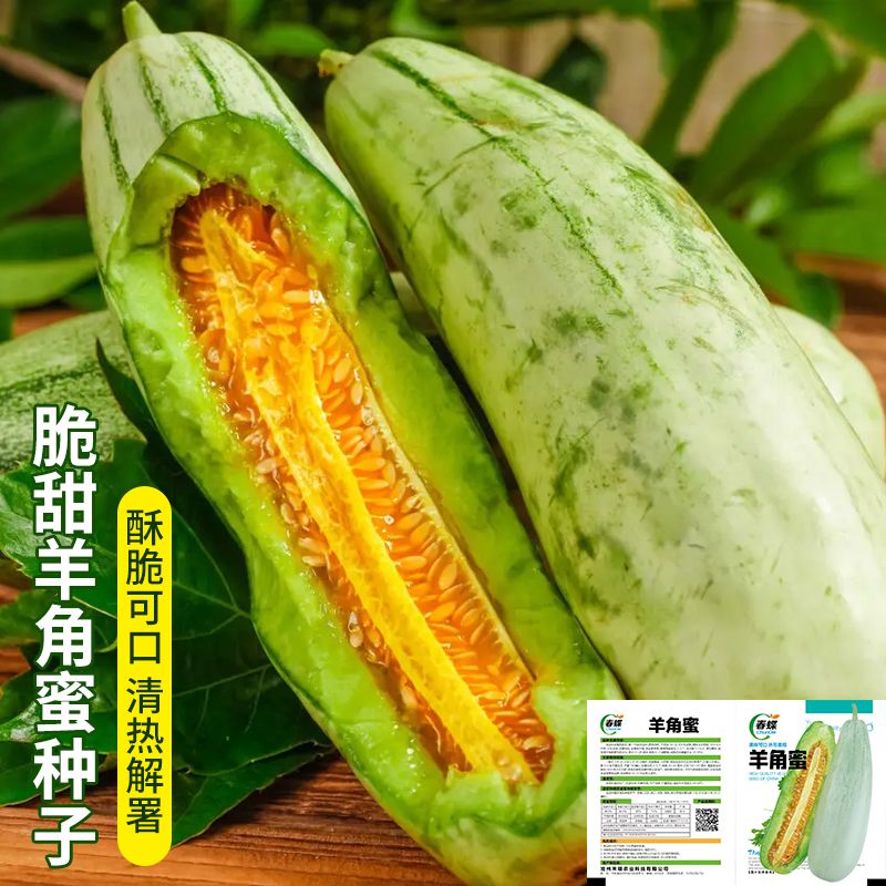 【好易种】羊角蜜种子甜瓜种籽羊角酥西瓜香瓜种孑早熟品蔬菜种子