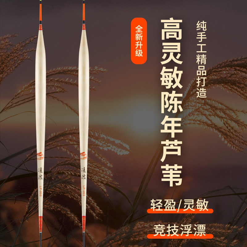 周八芦苇浮漂高灵敏陈年硬壳主攻轻口鱼梅州钓法专钓土鲮鲤鱼鲫鱼