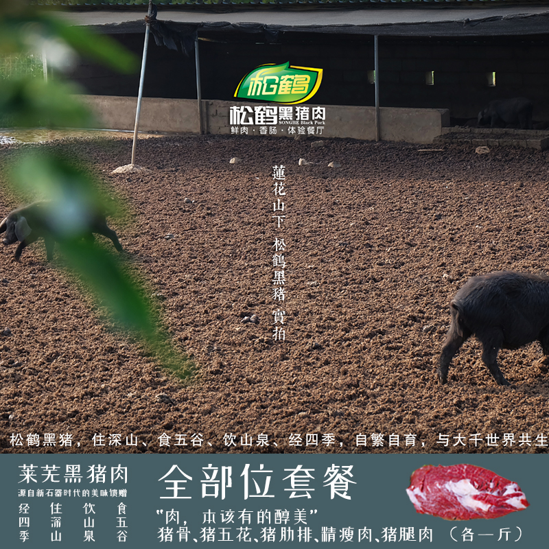 莱芜黑猪肉生猪肉全部位套餐四斤装山中散养足年出栏自然谷饲