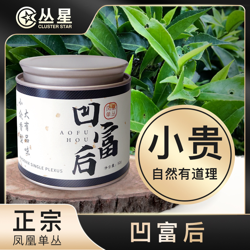 丛星凹富后塌堀后凤凰单丛茶潮州正宗乌岽鸭屎香蜜兰香50g小罐装