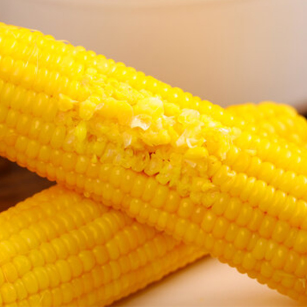 东北糯九玉米每支150g-200g【12棒】