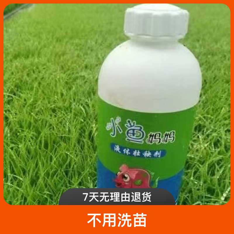 小鱼妈妈液体壮秧剂（不用洗苗）