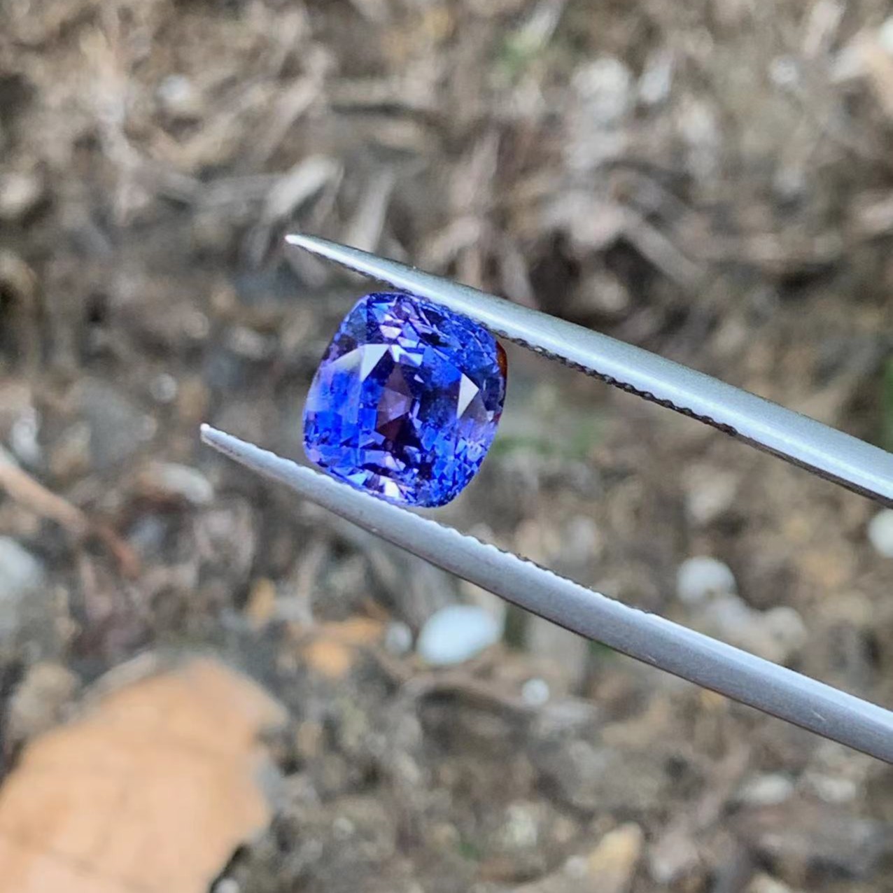 天然无烧变色蓝宝石斯里兰卡蓝色彩色满火彩可镶嵌戒指项链手链女